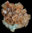 Natural Aragonite Clusters Wholesale Lot - Pieces #61788-2